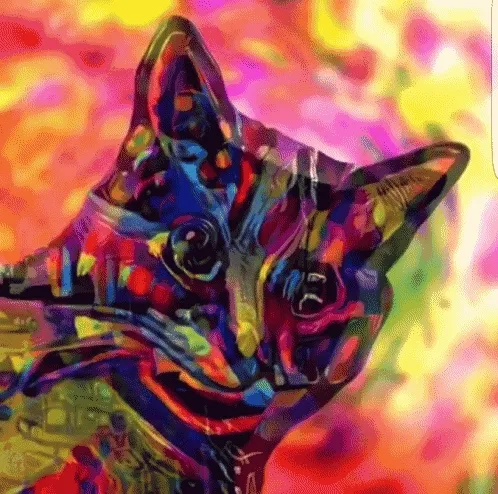 Cat On Acid