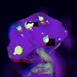 Amanita Purple
