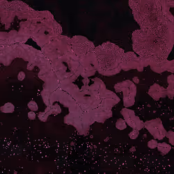 Dactylogram #73