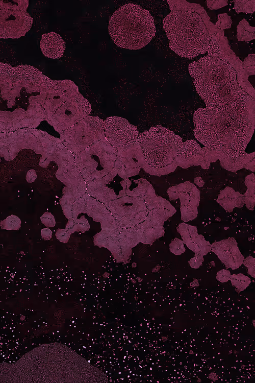 Item #2439046679443273982118864381573244666657869256 Media