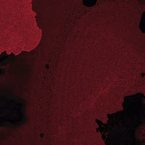 2439046679443273982118864381573244666657869229