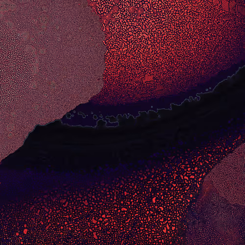 2439046679443273982118864381573244666657869205