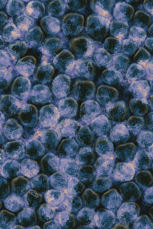 Item #2439046679443273982118864381573244666653869194 Media