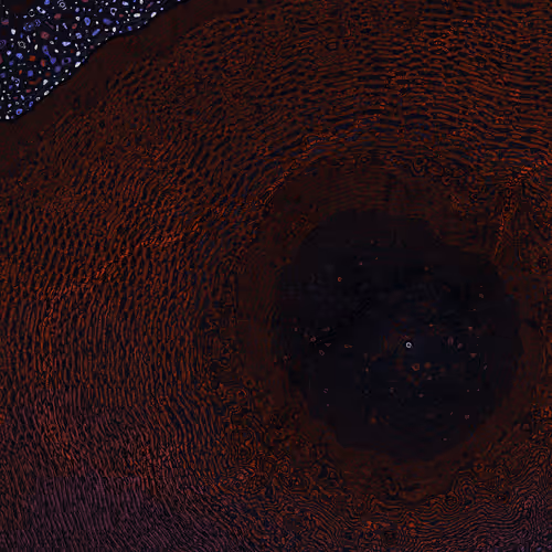 2439046679443273982118864381573244666657869304