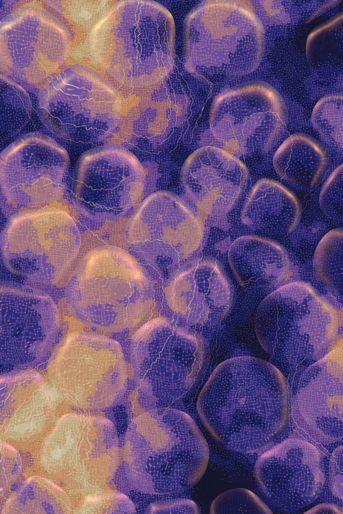 Item #2439046679443273982118864381573244666653869253 Media