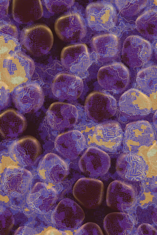 Item #2439046679443273982118864381573244666653869303 Media