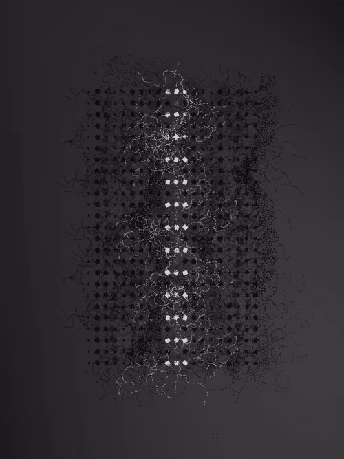 Item #2439046679443273982118864381573244666658869298 Media