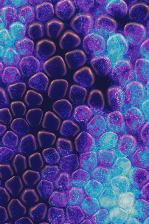 Item #2439046679443273982118864381573244666653869222 Media