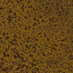 2439046679443273982118864381573244666657869186