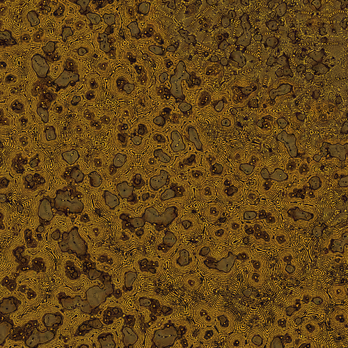 2439046679443273982118864381573244666657869186