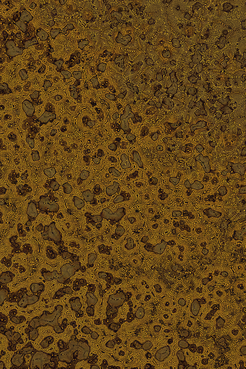 Item #2439046679443273982118864381573244666657869186 Media