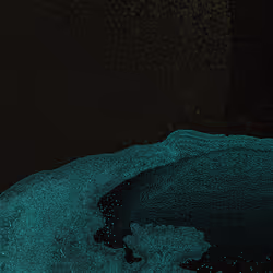 2439046679443273982118864381573244666657869215