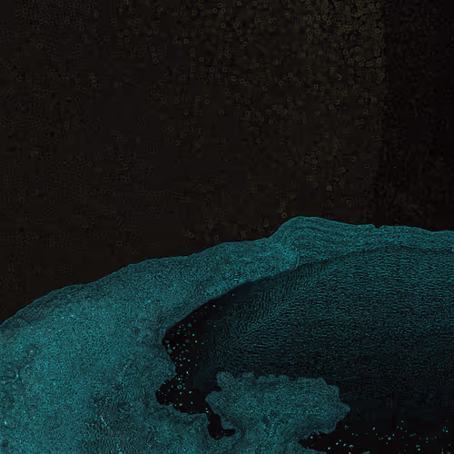 2439046679443273982118864381573244666657869215