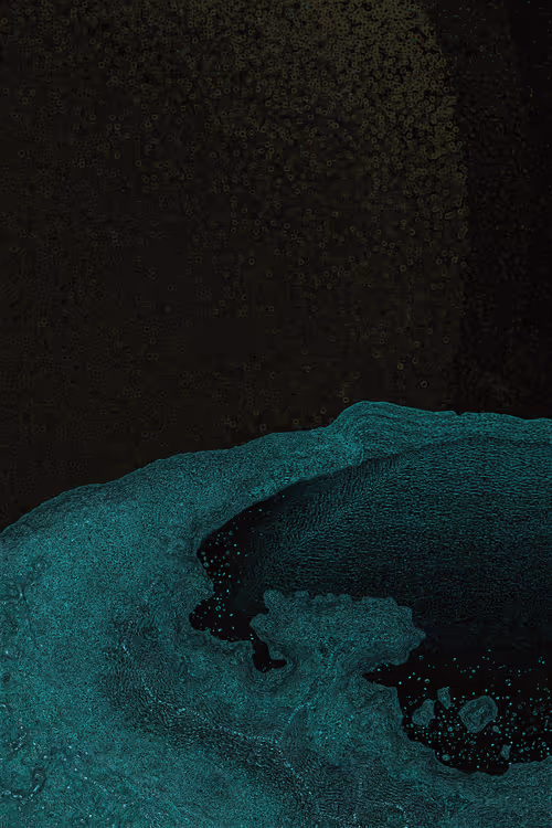 Item #2439046679443273982118864381573244666657869215 Media