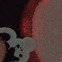 2439046679443273982118864381573244666657869273