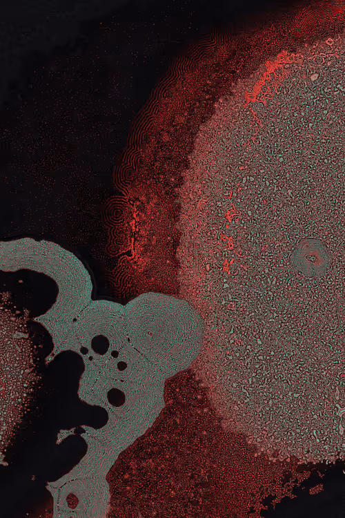 Item #2439046679443273982118864381573244666657869273 Media