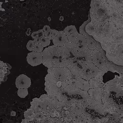 2439046679443273982118864381573244666657869225