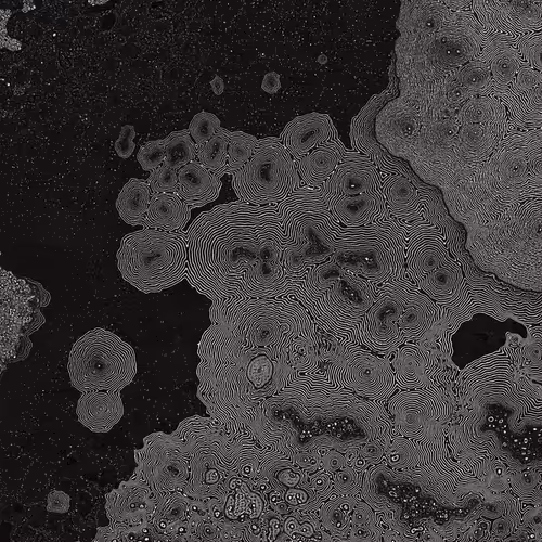 2439046679443273982118864381573244666657869225