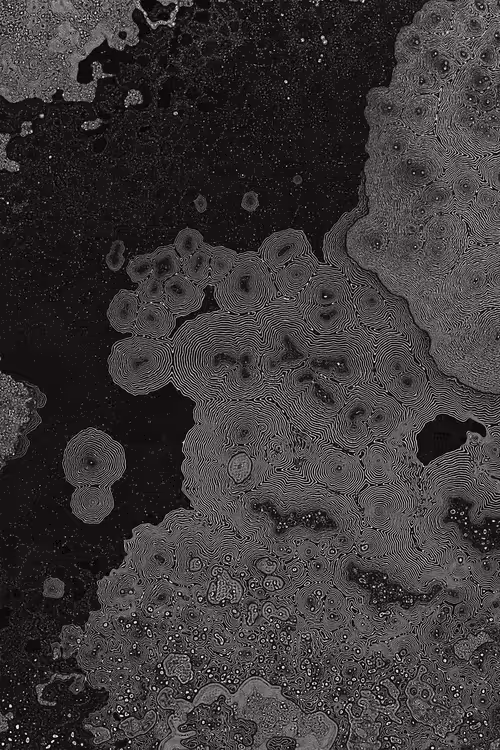 Item #2439046679443273982118864381573244666657869225 Media