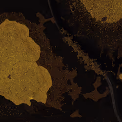 2439046679443273982118864381573244666657869268