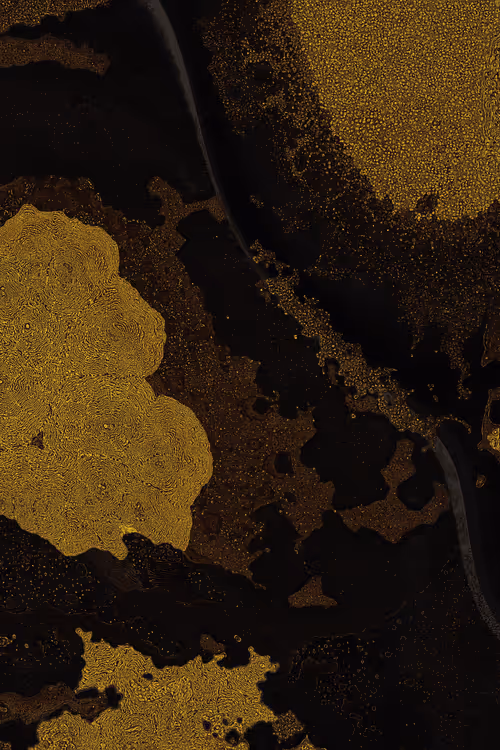 Item #2439046679443273982118864381573244666657869268 Media