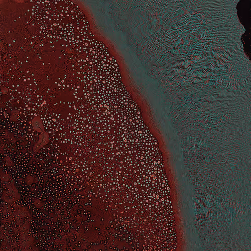 2439046679443273982118864381573244666657869309