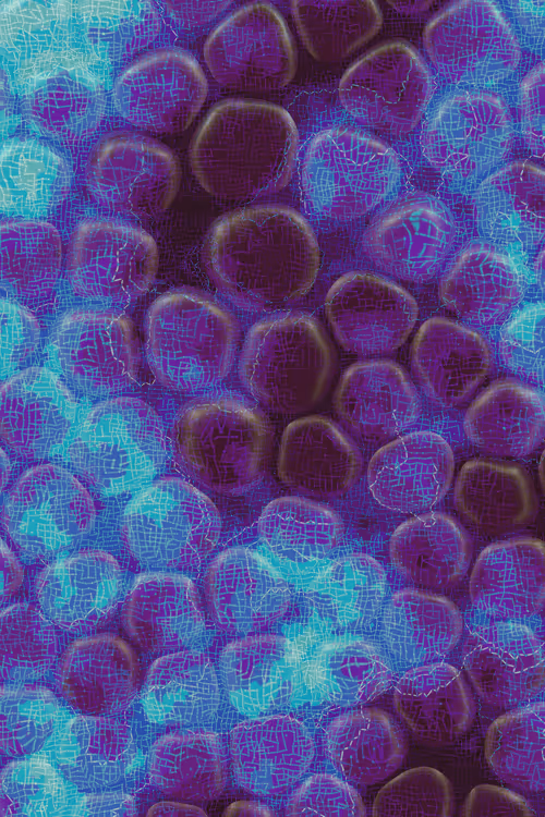 Item #2439046679443273982118864381573244666653869213 Media