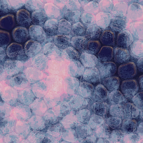 Vitreous By Charlotte Dann