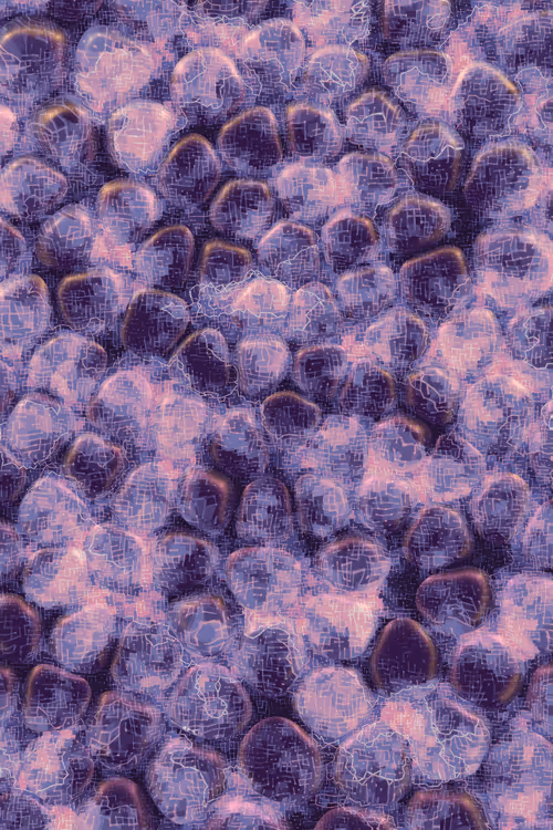 Item #2439046679443273982118864381573244666653869259 Media