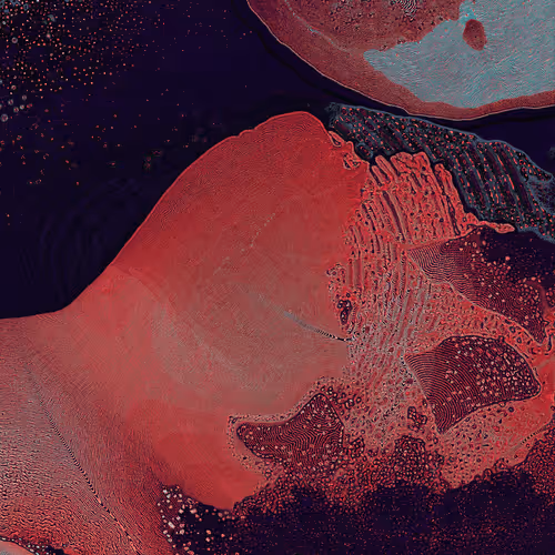 Dactylogram By David Seven