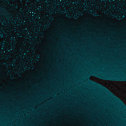 2439046679443273982118864381573244666657869206