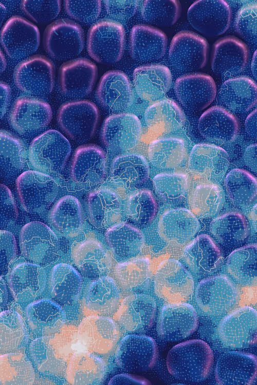 Item #2439046679443273982118864381573244666653869278 Media