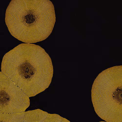 2439046679443273982118864381573244666657869199