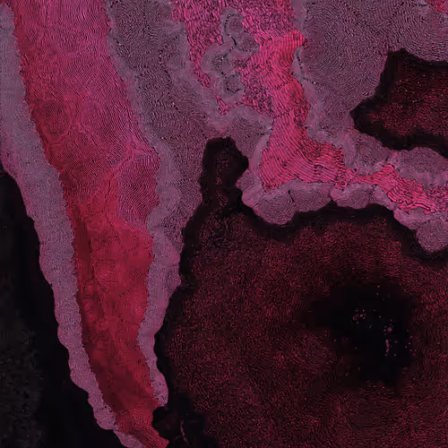 2439046679443273982118864381573244666657869197