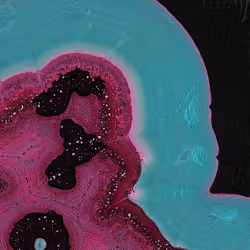 2439046679443273982118864381573244666657869196