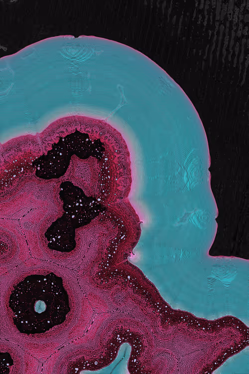 Item #2439046679443273982118864381573244666657869196 Media