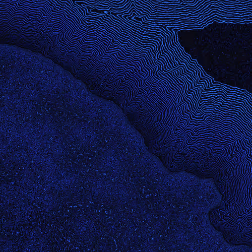 2439046679443273982118864381573244666657869192