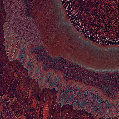 Dactylogram By David Seven