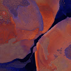 2439046679443273982118864381573244666657869184