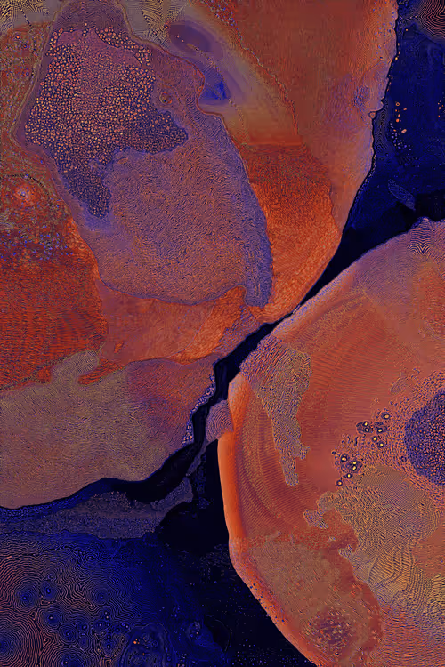 Item #2439046679443273982118864381573244666657869184 Media