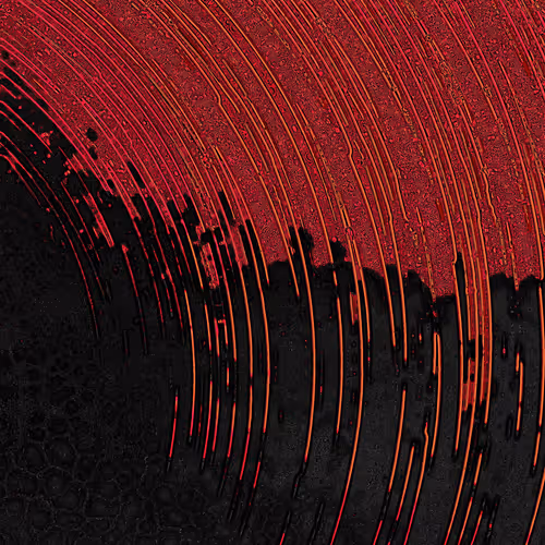 2439046679443273982118864381573244666657869216