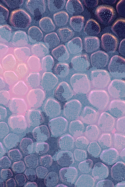 Item #2439046679443273982118864381573244666653869273 Media