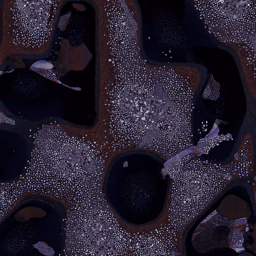 2439046679443273982118864381573244666657869296