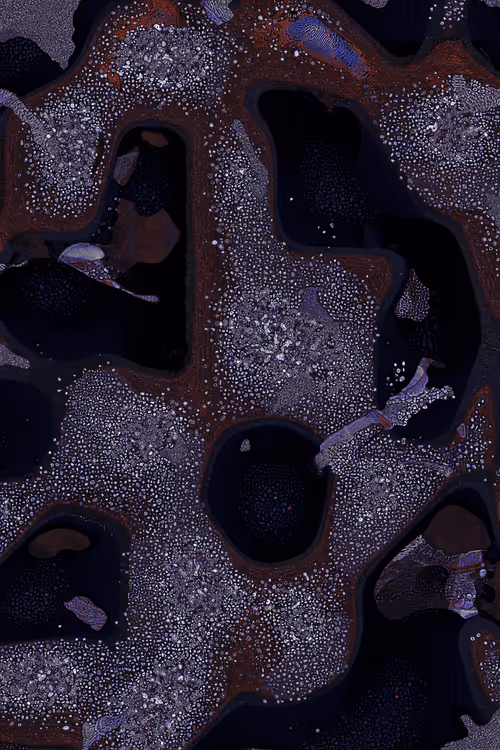 Item #2439046679443273982118864381573244666657869296 Media