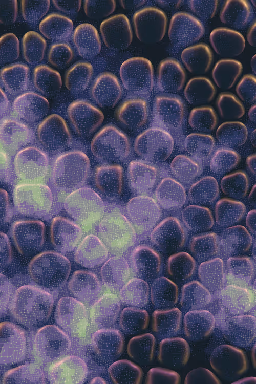 Item #2439046679443273982118864381573244666653869284 Media