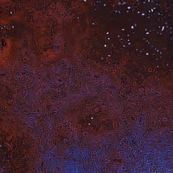 2439046679443273982118864381573244666657869254