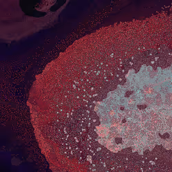 2439046679443273982118864381573244666657869272