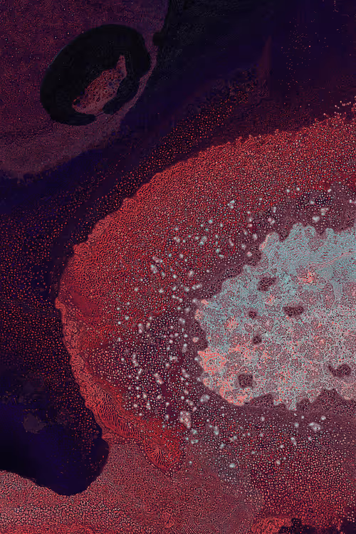 Item #2439046679443273982118864381573244666657869272 Media