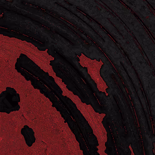 2439046679443273982118864381573244666657869283