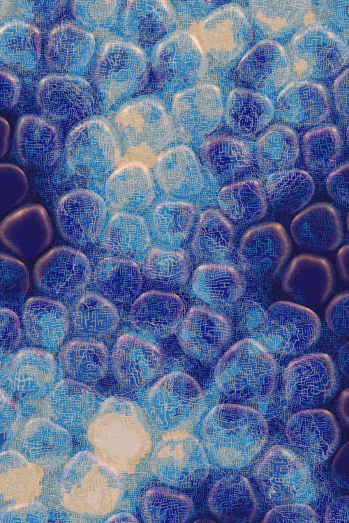 Item #2439046679443273982118864381573244666653869185 Media